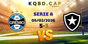 Gremio Vs Botafogo RJ